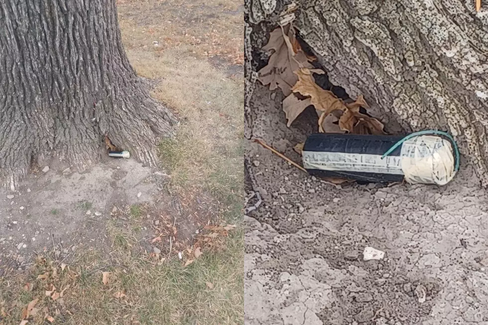 Police Confirm Homemade Explosive Found Near Gibson Park